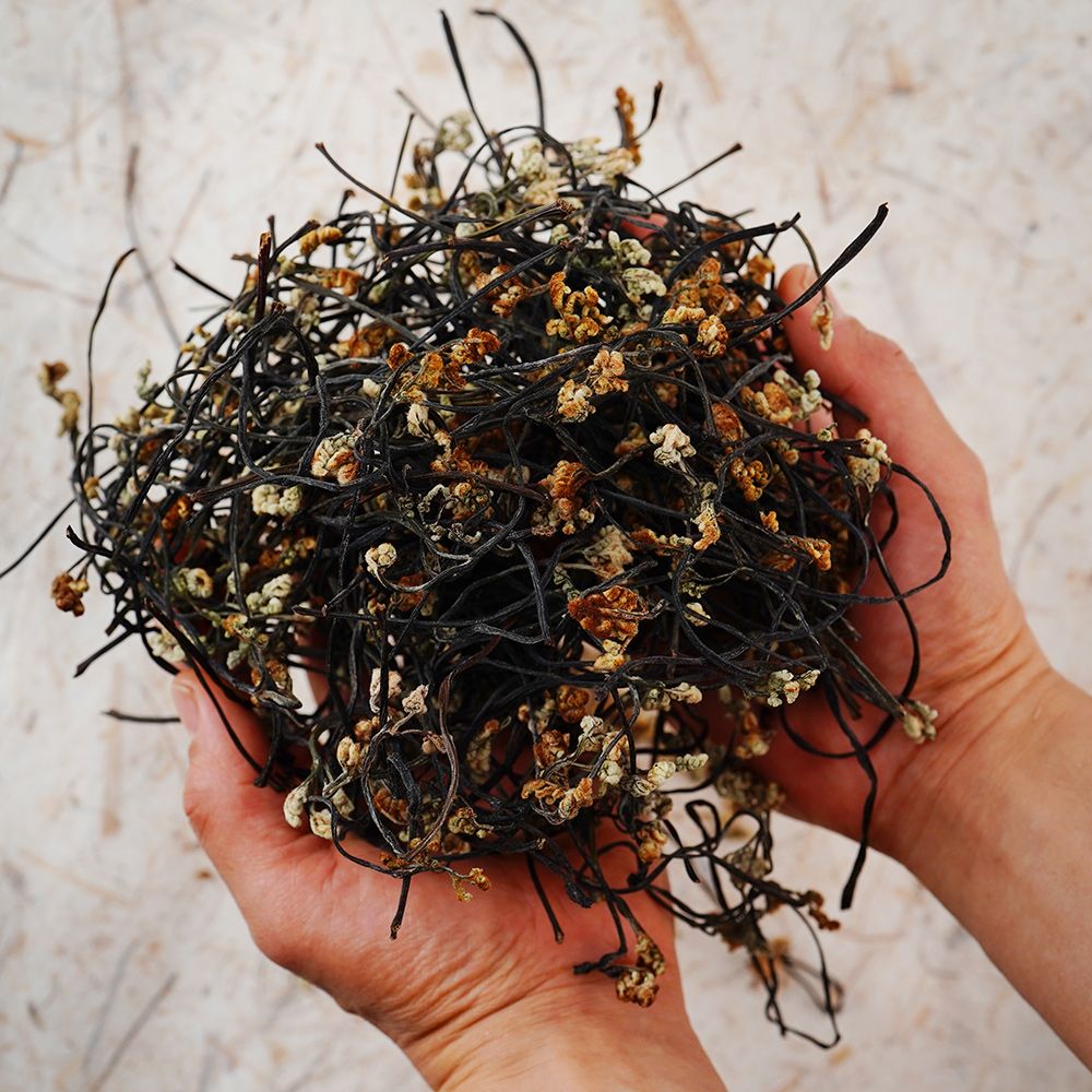 산엔청쇼핑몰,산청장희딸기 350g,500g _우리농원