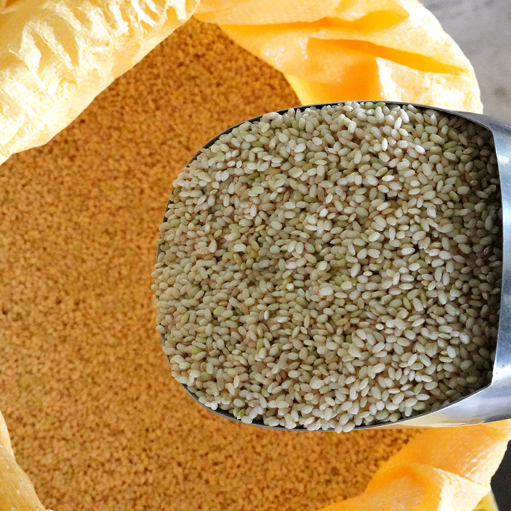 산엔청쇼핑몰,산청장희딸기 350g,500g _우리농원