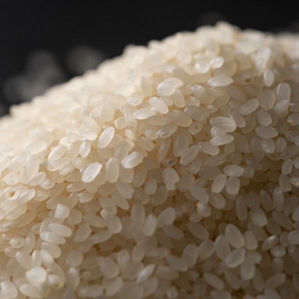 산엔청쇼핑몰,산청장희딸기 350g,500g _우리농원