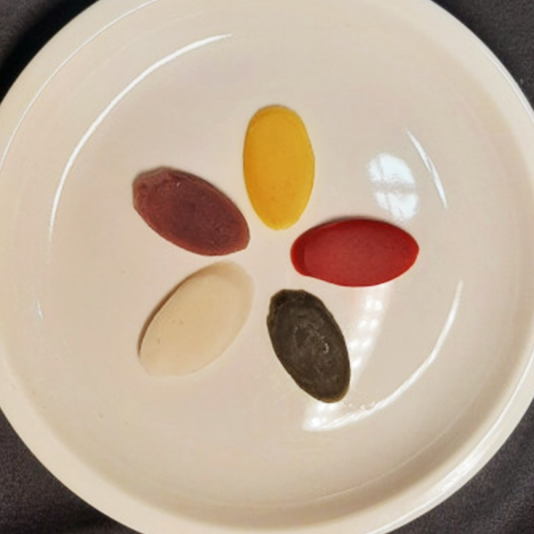 산엔청쇼핑몰,산청장희딸기 350g,500g _우리농원