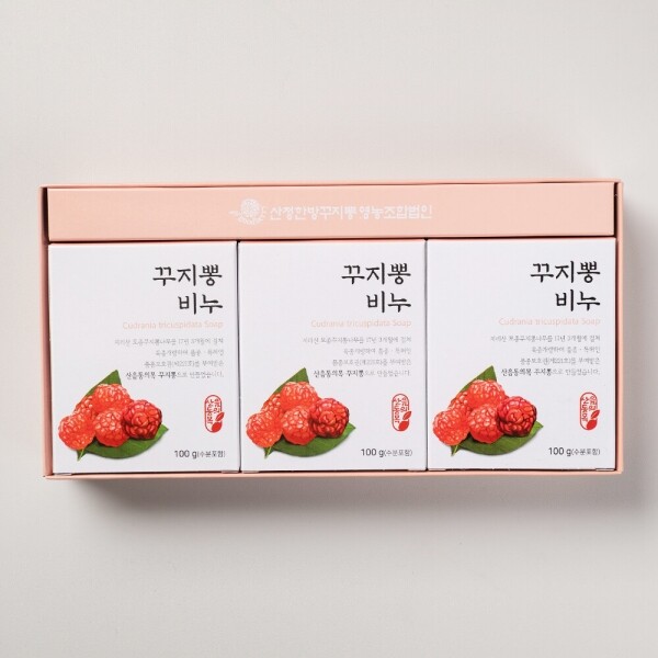 산엔청쇼핑몰,산청장희딸기 350g,500g _우리농원