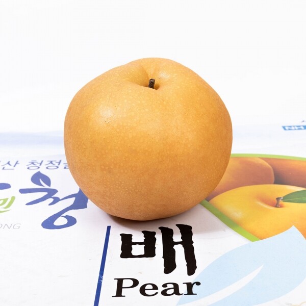 산엔청쇼핑몰,산청장희딸기 350g,500g _우리농원