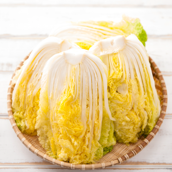 산엔청쇼핑몰,산청장희딸기 350g,500g _우리농원
