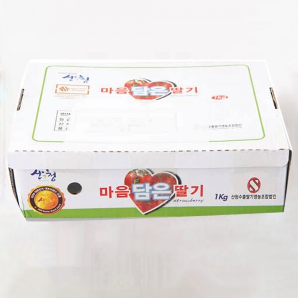 산엔청쇼핑몰,산청장희딸기 350g,500g _우리농원