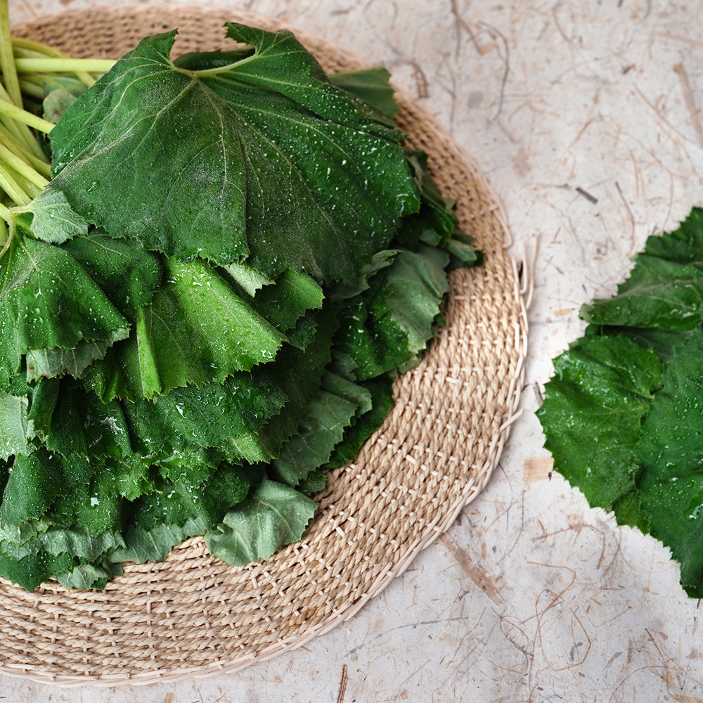 산엔청쇼핑몰,산청장희딸기 350g,500g _우리농원