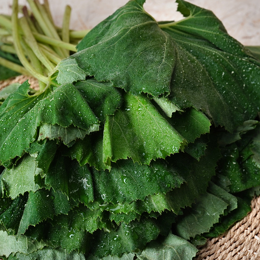 산엔청쇼핑몰,산청장희딸기 350g,500g _우리농원