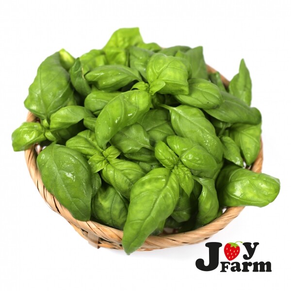 산엔청쇼핑몰,산청장희딸기 350g,500g _우리농원