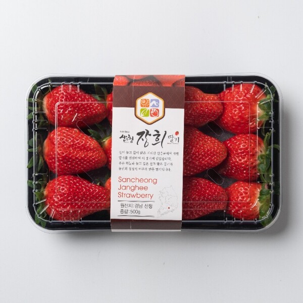 산엔청쇼핑몰,산청장희딸기 350g,500g _우리농원
