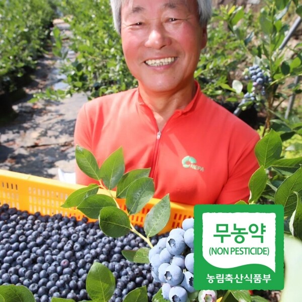 산엔청쇼핑몰,산청장희딸기 350g,500g _우리농원