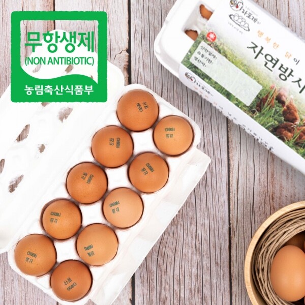 산엔청쇼핑몰,산청장희딸기 350g,500g _우리농원