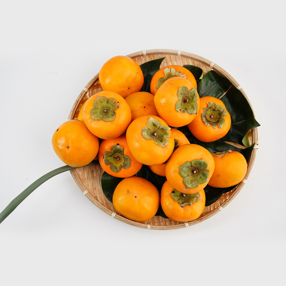 산엔청쇼핑몰,산청장희딸기 350g,500g _우리농원