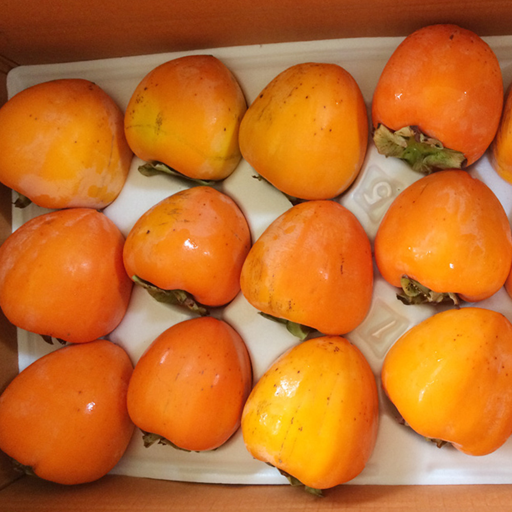 산엔청쇼핑몰,산청장희딸기 350g,500g _우리농원