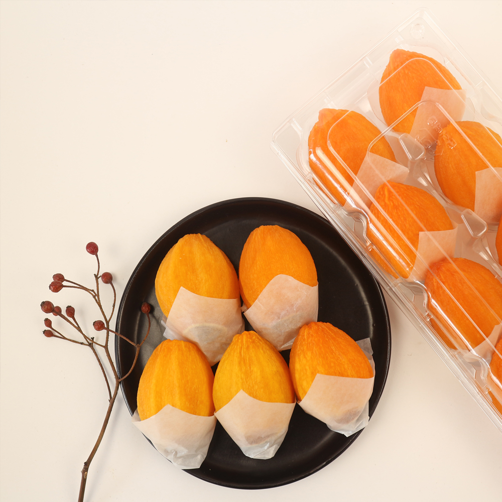 산엔청쇼핑몰,산청장희딸기 350g,500g _우리농원